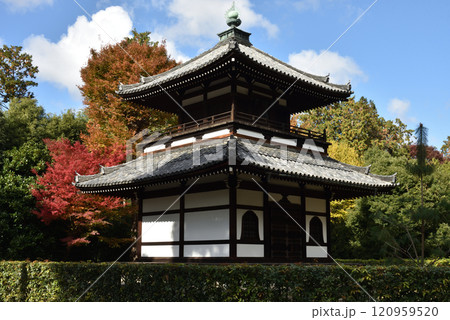 大本山相国寺　経蔵　秋 120959520