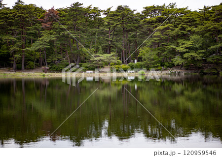 森の中の池 120959546