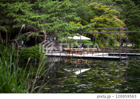 緑に囲まれた池 120959563