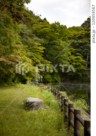 池のある風景 120959567
