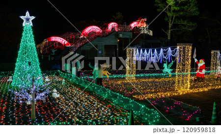 第3回曽木の滝イルミネーション　2024/12/01 ～ 2025/02/28 120959818