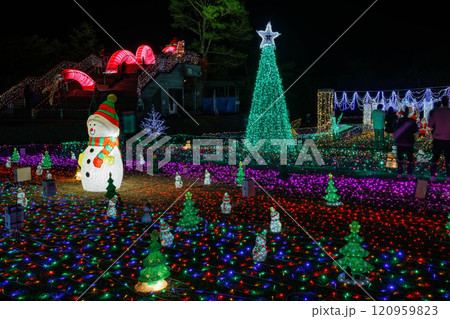 第3回曽木の滝イルミネーション　2024/12/01 ～ 2025/02/28 120959823