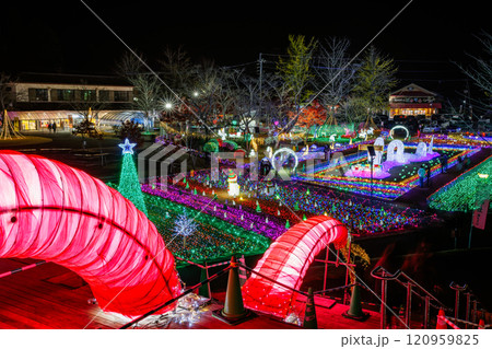 第3回曽木の滝イルミネーション 2024/12/01 ~ 2025/02/28 第3回曽木の滝イルミネーション 2024/12/01 ~ 2025/02/28 120959825