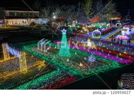 第3回曽木の滝イルミネーション　2024/12/01 ～ 2025/02/28 120959827