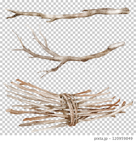 Watercolor illustration of tied wooden sticks and twigs. Rustic background featuring chopped and seasoned firewood for eco-friendly or rural lifestyle, projects. Perfect for creative decor concepts. Watercolor illustration of tied wooden sticks and twigs. Rustic background featuring chopped and seasoned firewood for eco-friendly or rural lifestyle, projects. Perfect for creative decor concepts. 120959849