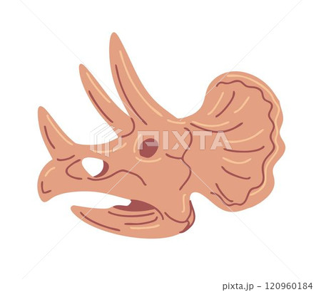 Triceratops skeleton with horns Triceratops skeleton with horns 120960184