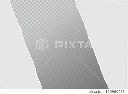 Realistic ripped white paper sheets isolated on transparent background. Torn blank pages with uneven texture. Vector 120960983