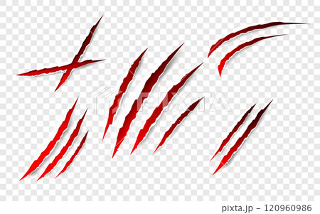 Claws scratches - vector isolated. Claws scratches animal claw tracks cat or tiger bear or lion attack nails scratches. Horror, Halloween monster. Vector 120960986