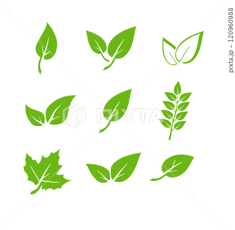 Green leaf icons set. Elements design for natural, eco, vegan. Leaves icon on isolated background. Collection green leaf. Vector 120960988