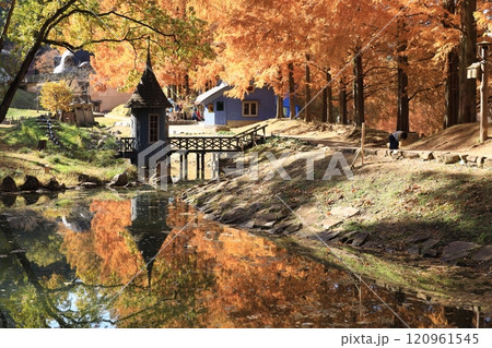 トーベ・ヤンソンあけぼの子どもの森公園 120961545