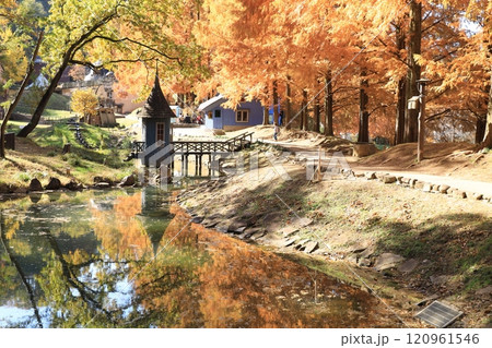 トーベ・ヤンソンあけぼの子どもの森公園 120961546