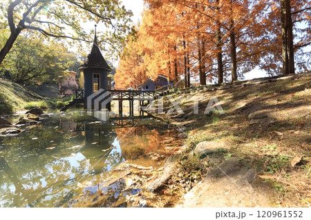 トーベ・ヤンソンあけぼの子どもの森公園 120961552