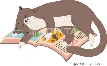 Adorable brown and white cat sleeping on top of an open book, resting after a long reading session, colorful illustrations visible on book pages 120962250