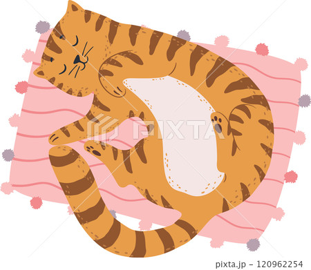 Cute ginger tabby cat sleeping peacefully on a pink cushion, enjoying a relaxing nap, curled up and cozy, creating a heartwarming scene of feline contentment 120962254