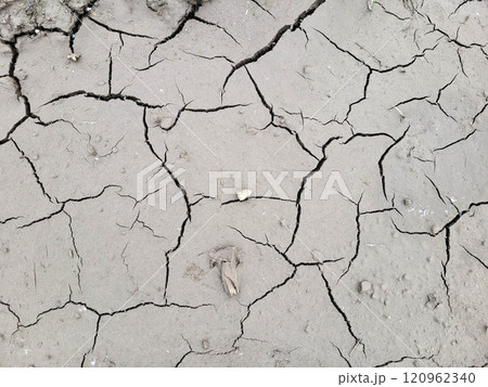 In dry, arid weather, cracked soil In dry, arid weather, cracked soil 120962340