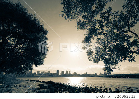 大阪の淀川河川敷より梅田の高層ビルをのぞむ 120962513