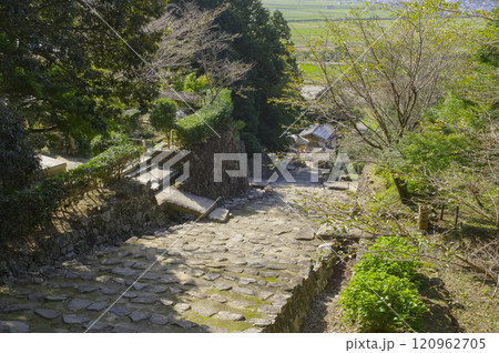 安土城の大手道 安土城の大手道 120962705