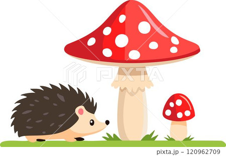 Hedgehog and Fly Agaric Mushrooms isolated vector, hedgehog illustration Hedgehog and Fly Agaric Mushrooms isolated vector, hedgehog illustration 120962709