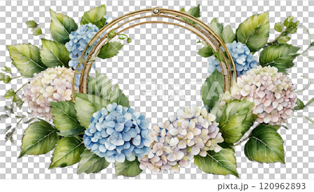 水彩で描いた紫陽花のフレーム 水彩で描いた紫陽花のフレーム 120962893
