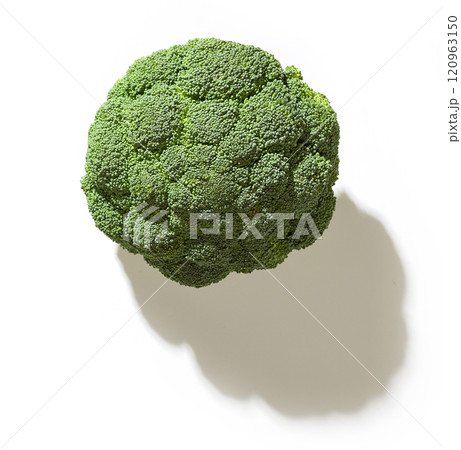fresh green broccoli fresh green broccoli 120963150