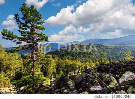 Summer mountain view (Carpathian, Ukraine). 120963846
