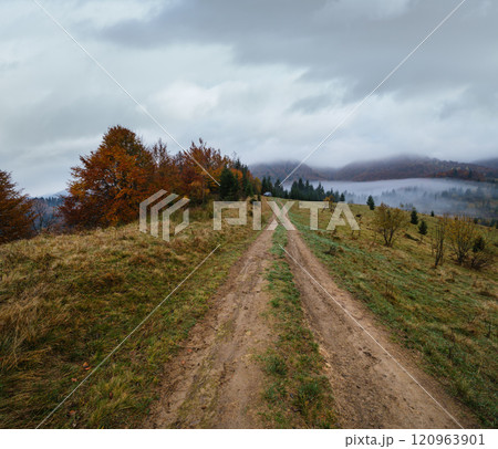 Hazy and overcast early morning in autumn Carpathian Mountains and dirty countryside path, Ukraine. 120963901