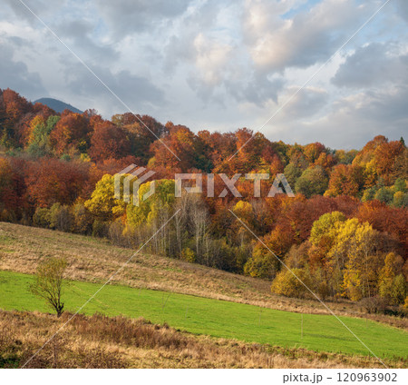 Cloudy morning autumn mountain scene. Peaceful picturesque traveling, seasonal, nature and countryside beauty concept scene. 120963902