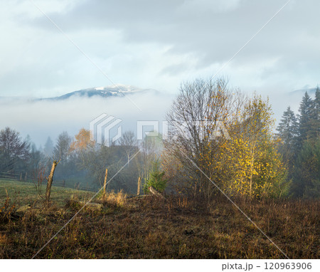 Cloudy and foggy morning late autumn mountains scene. Peaceful picturesque traveling, seasonal, nature and countryside beauty concept scene. Carpathian Mountains, Ukraine. 120963906