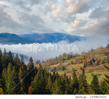 Late autumn mountain morning scene with snow covered tops in far and foggy clouds in valleys. Picturesque traveling, seasonal, nature and countryside beauty concept scene. Carpathians, Ukraine. Late autumn mountain morning scene with snow covered tops in far and foggy clouds in valleys. Picturesque traveling, seasonal, nature and countryside beauty concept scene. Carpathians, Ukraine. 120963910