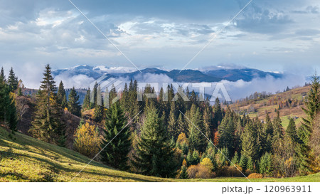Late autumn mountain morning scene with snow covered tops in far and foggy clouds in valleys. Picturesque traveling, seasonal, nature and countryside beauty concept scene. Carpathians, Ukraine. Late autumn mountain morning scene with snow covered tops in far and foggy clouds in valleys. Picturesque traveling, seasonal, nature and countryside beauty concept scene. Carpathians, Ukraine. 120963911