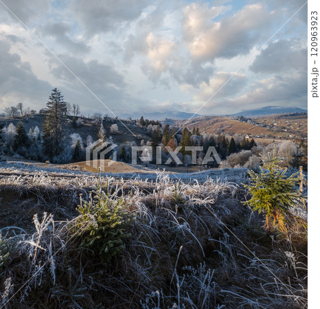 Winter coming. Last days of autumn, morning in mountain countryside peaceful picturesque hoarfrosted scene. Dirty road from hills to the village. Ukraine, Carpathian mountains. 120963923