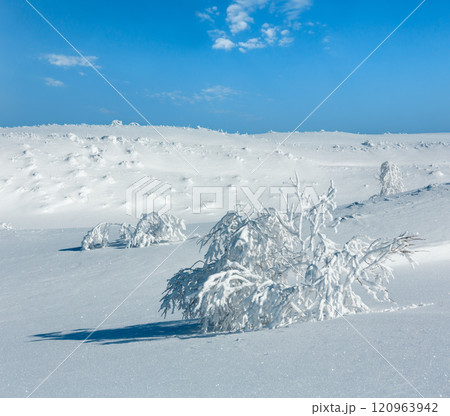 Winter mountain snowy landscape 120963942