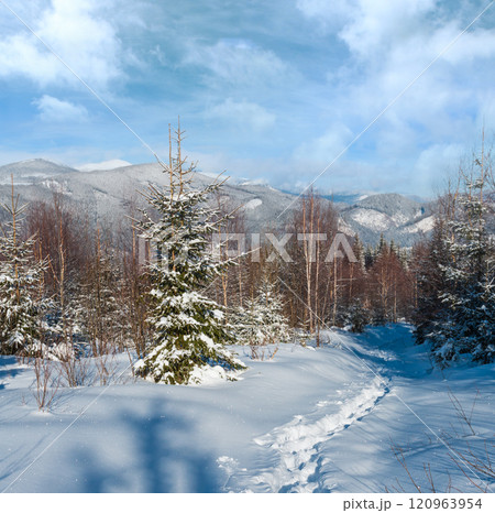 Winter morning Carpathian mountains, Ukraine 120963954