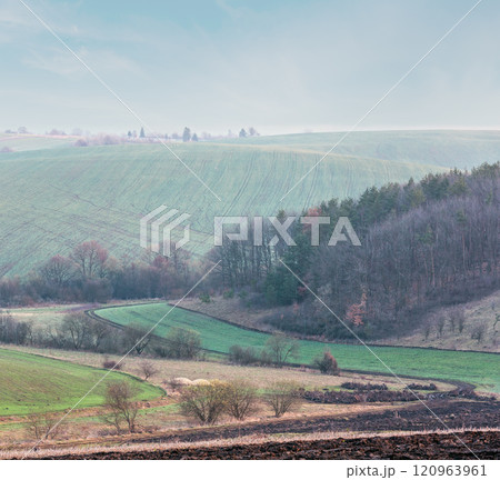 Spring morning arable and growth fields and countryside. 120963961