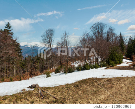 Early spring Carpathian mountains Early spring Carpathian mountains 120963965