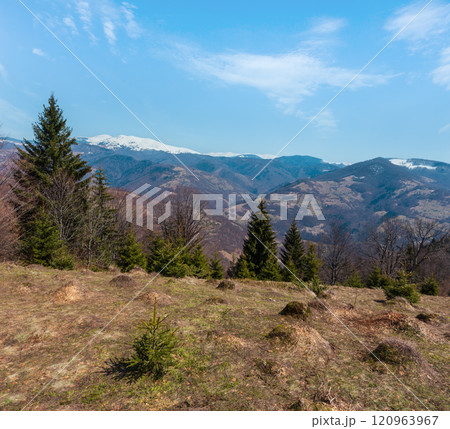 Early spring Carpathian mountains 120963967
