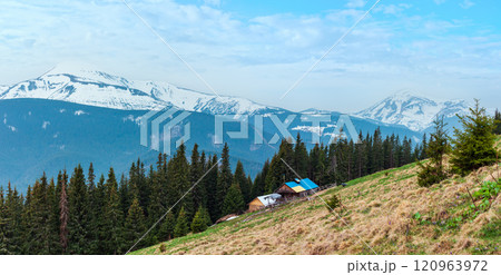 Spring Carpathian mountains Spring Carpathian mountains 120963972
