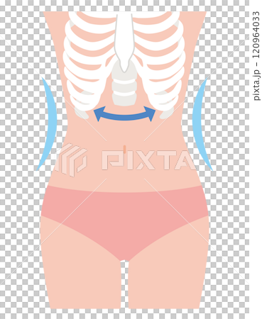 Closed ribs Waist Closed ribs Waist 120964033