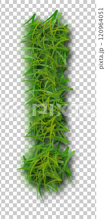 Green Grass Alphabet Exclamation Mark Green Grass Alphabet Exclamation Mark 120964051