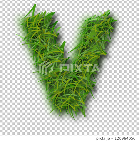 Green Grass Alphabet Letter v Lowercase 120964056
