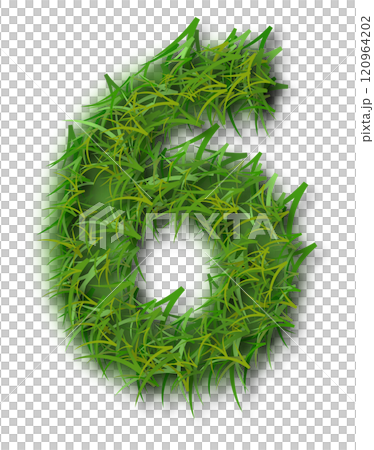 Green Grass Alphabet Number 6 Green Grass Alphabet Number 6 120964202