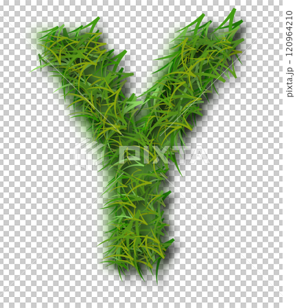 Green Grass Alphabet Letter Y Green Grass Alphabet Letter Y 120964210