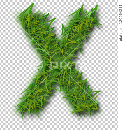 Green Grass Alphabet Letter X Green Grass Alphabet Letter X 120964211