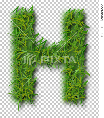 Green Grass Alphabet Letter H 120964227