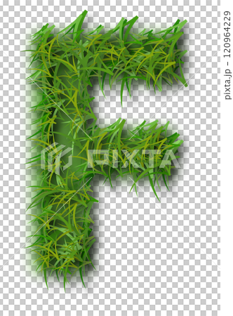 Green Grass Alphabet Letter F Green Grass Alphabet Letter F 120964229