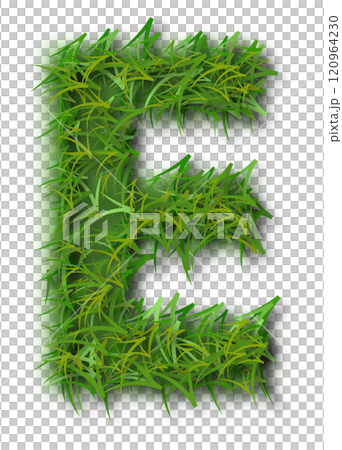 Green Grass Alphabet Letter E Green Grass Alphabet Letter E 120964230