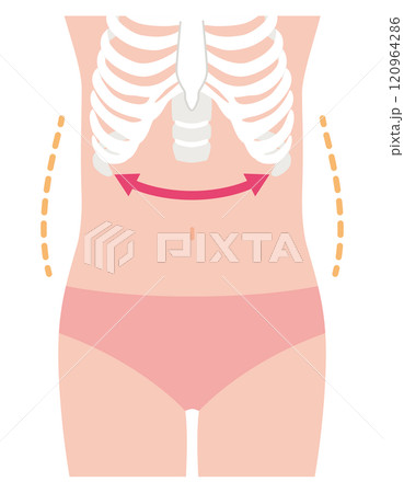 開いた肋骨　寸胴体型 120964286