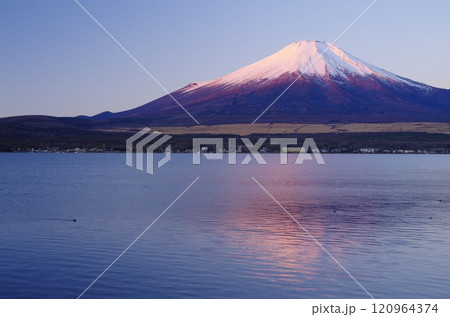 山中湖畔から望む夜明けの富士 山中湖畔から望む夜明けの富士 120964374