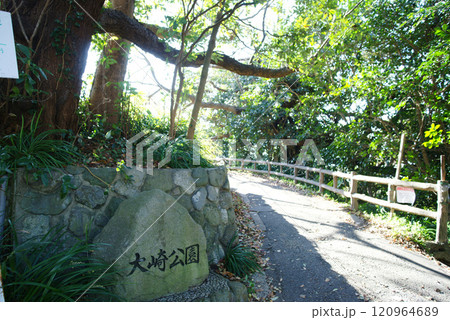 逗子市立 大崎公園 逗子市立 大崎公園 120964689