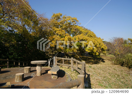 逗子市立 大崎公園 逗子市立 大崎公園 120964690